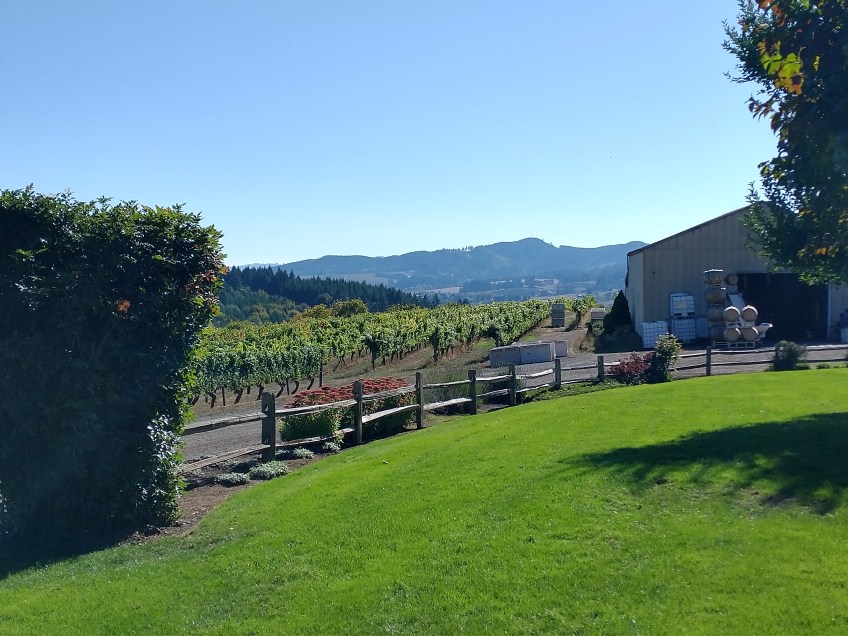 David Hill Vineyards & Winery, Forest Grove, OR