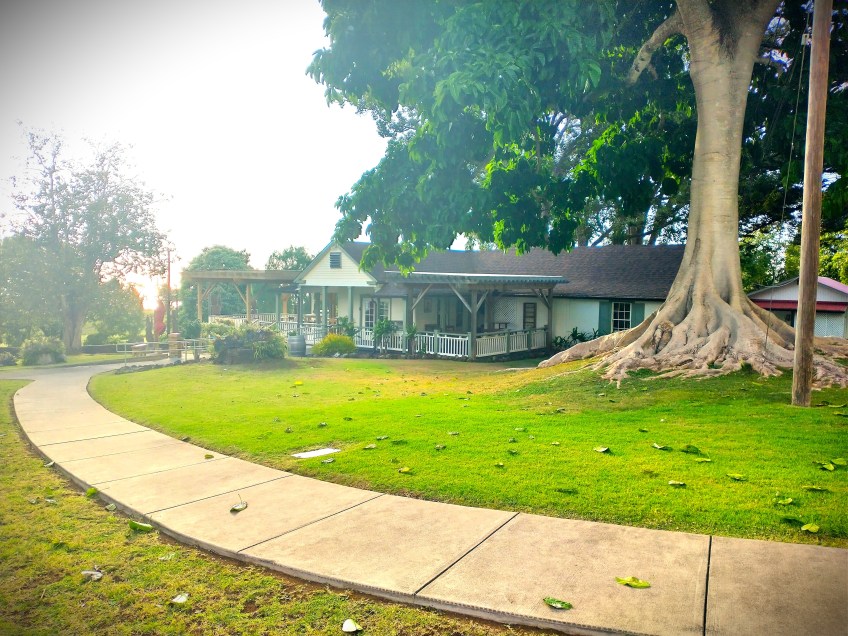 Maui Wine Tasting Room